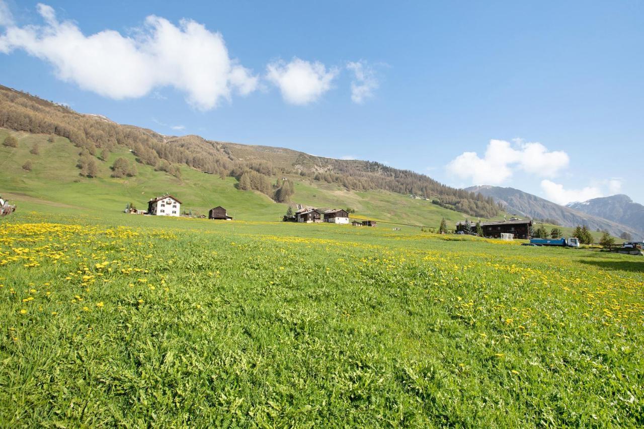 Baita Truzz Appartamento Valle Livigno Luaran gambar